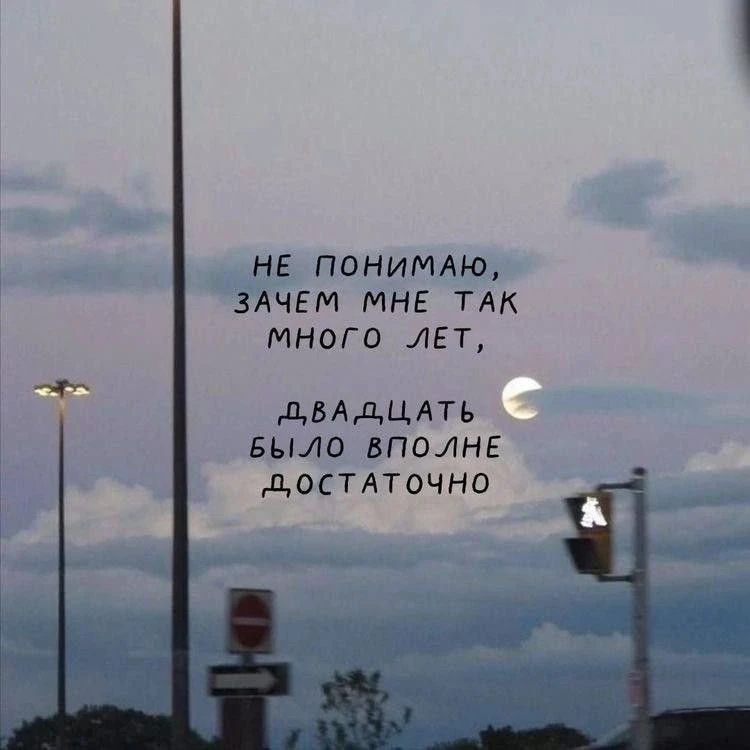 Бонжюр всем, вот вам принесла картинок в #добровторник ❤️