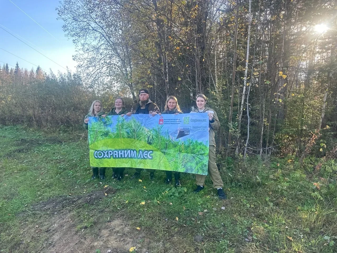 🌲 В Горнозаводском лесничестве высадили сеянцы ели