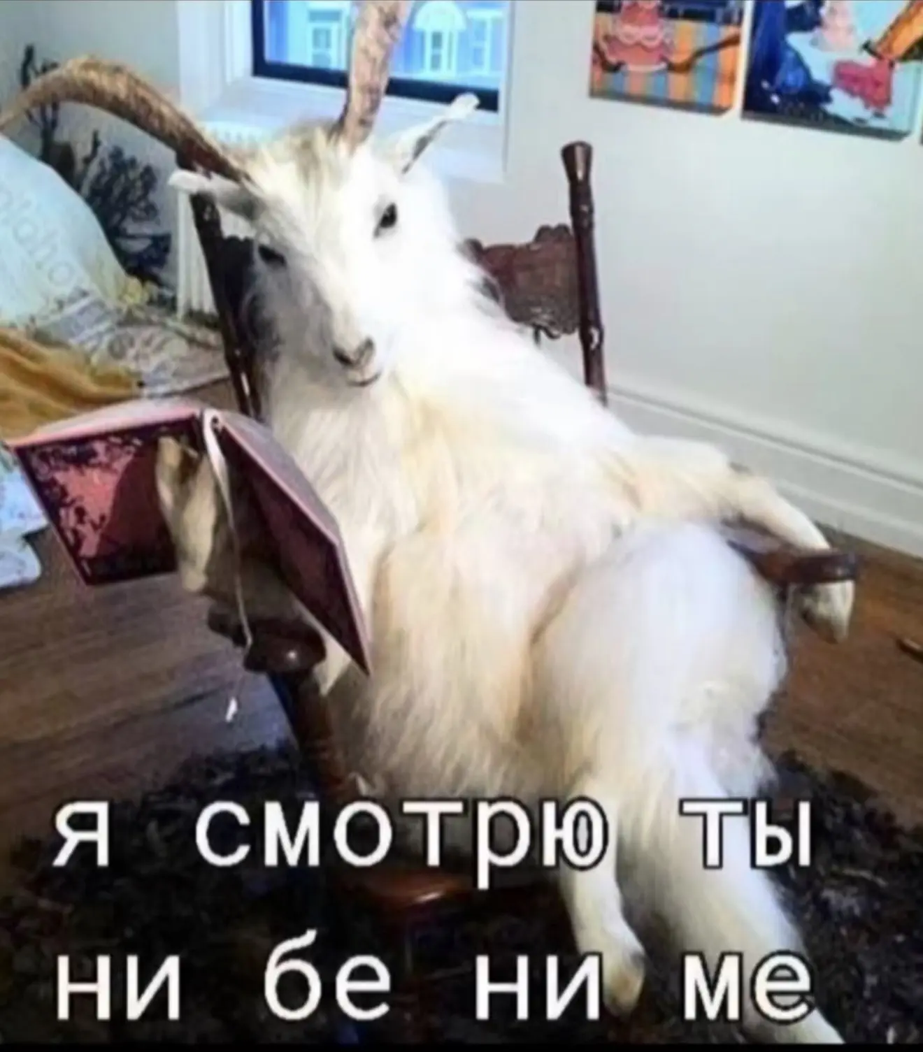 Мой ответ таков им ⏬⏬⏬
Они- ни бэ ,ни мэ ,ни кукареку


P.S. пост носит юмористический характер 😎😎