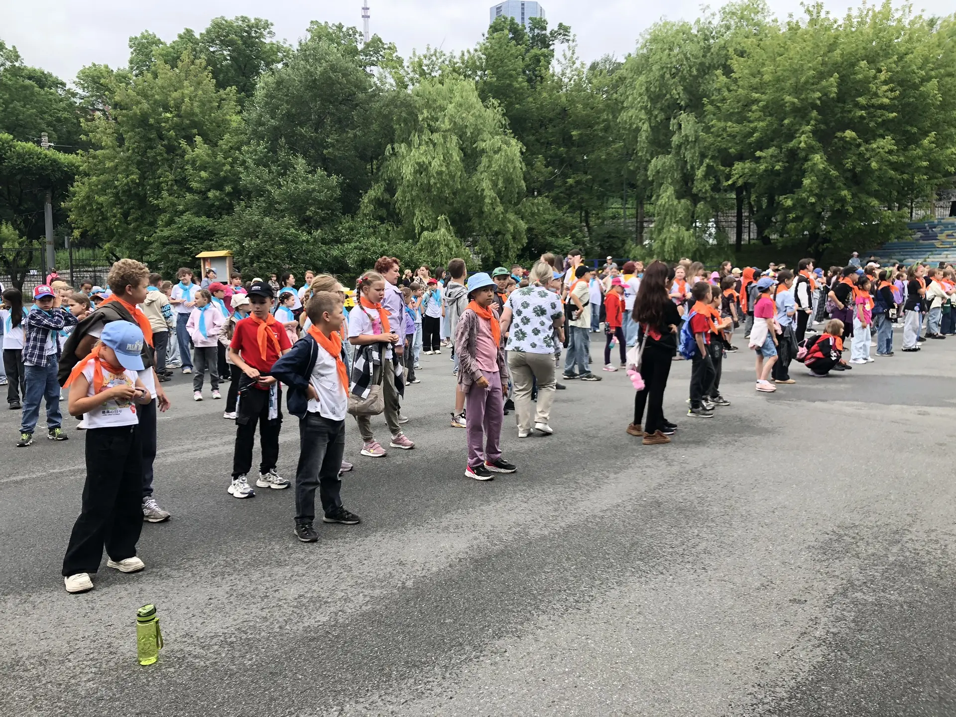 06.07.26

Сегодня во Дворце детского творчества прошла городская спортивно-просветительская акция «З