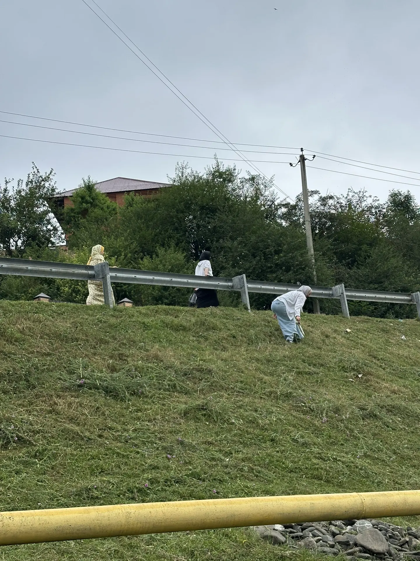 Сегодня на территории с.Вашендарой прошёл обширный субботник по очистке территорий, в к...