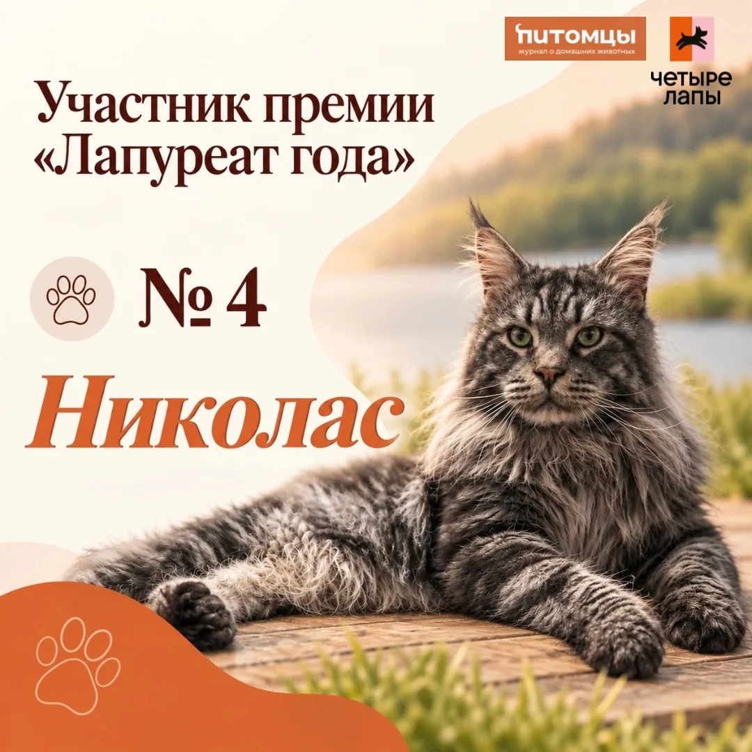 🫶🏻Продолжаем знакомить вас с участниками премии «Лапуреат года» — и следующая история...