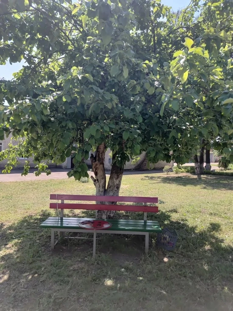 💟Как уютно у нас на участке🌿

😊Немалое количество времени в детском саду  ребята проводят на прог