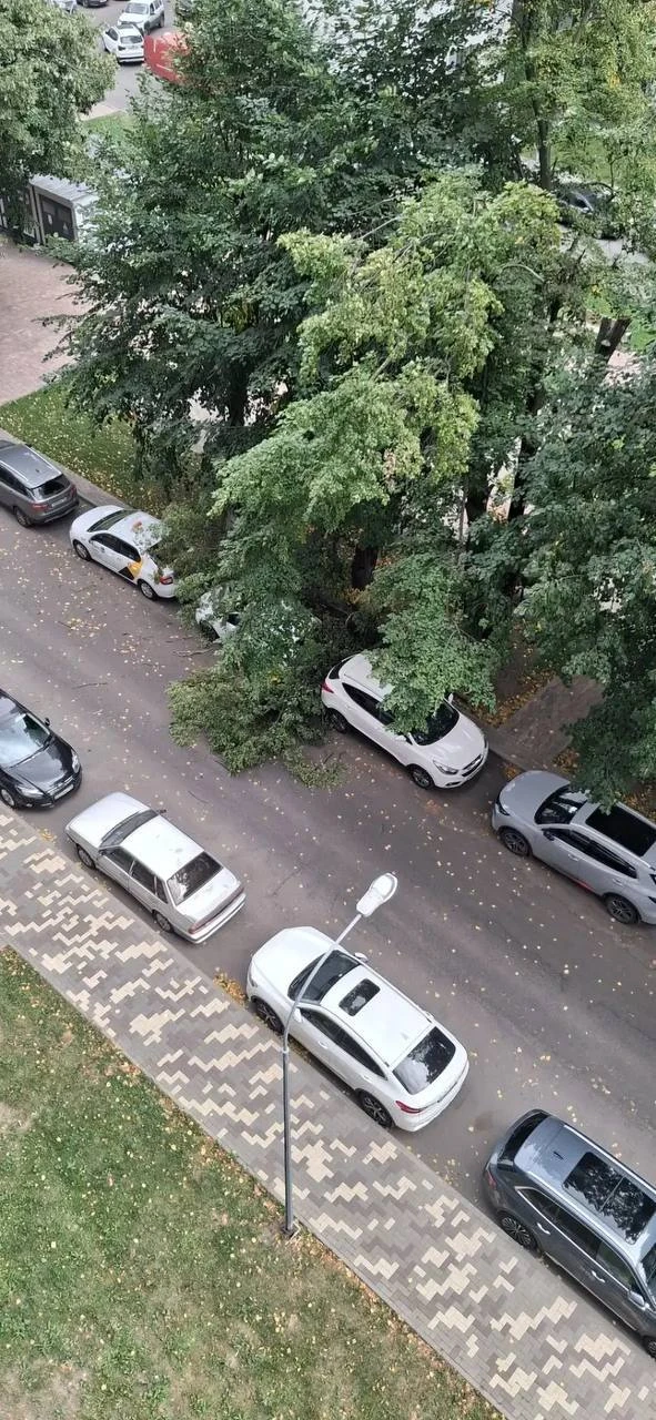 Изображение 1 к публикации «Воронеж 360°»