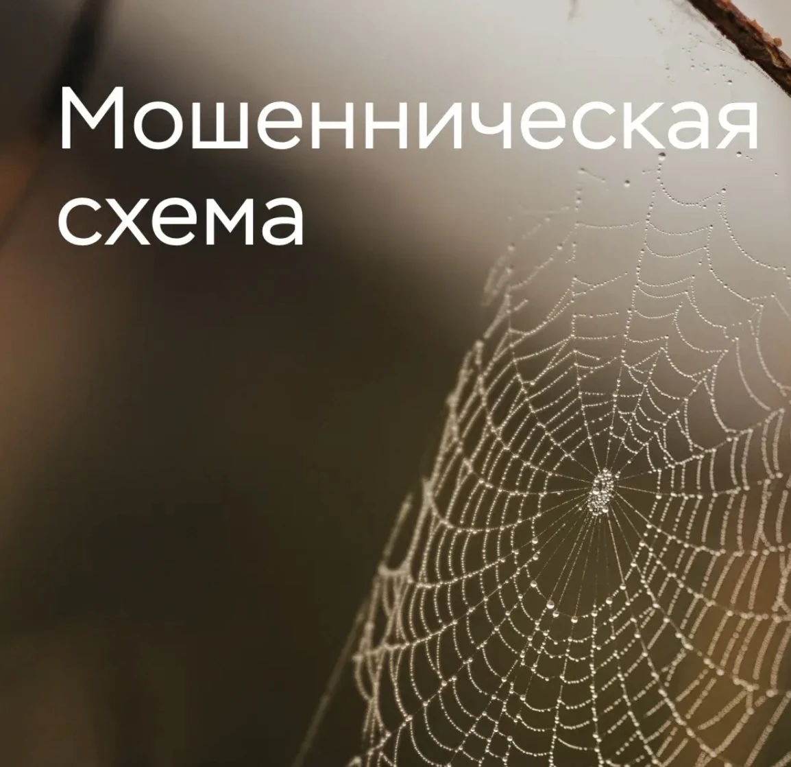 ⚠️ Просят перезвонить «госслужащие» — это тревожный звоночек
