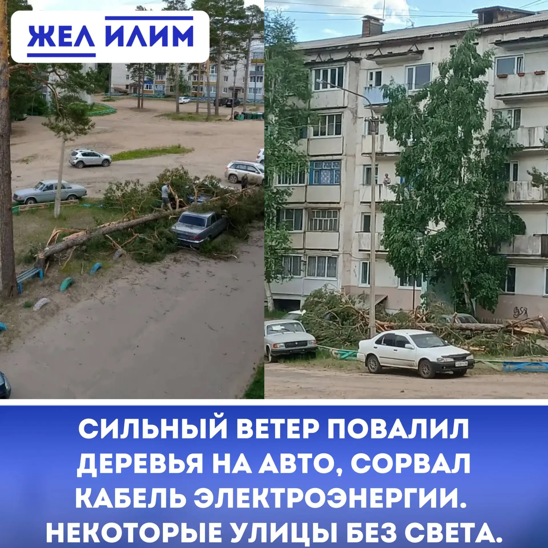 ⚠️ Автомобиль придавила сосна, оборвало кабель электроэнергии. Непогода обрушилась на Новую Игирму. 