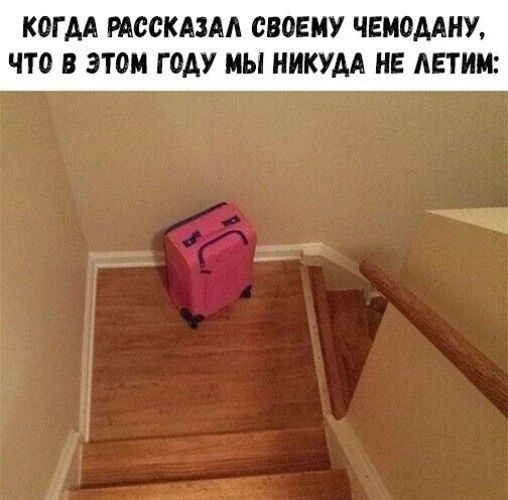 Первая осенняя мемасешная❤