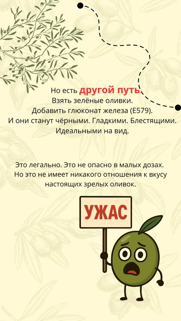 Интересно о маслинах 🖤