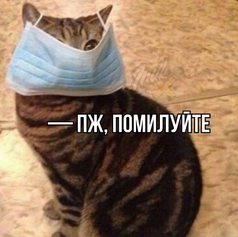 🦠 Нижегородцы начали часто болеть