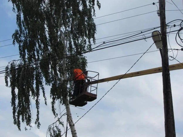Деревья под проводами ЛЭП