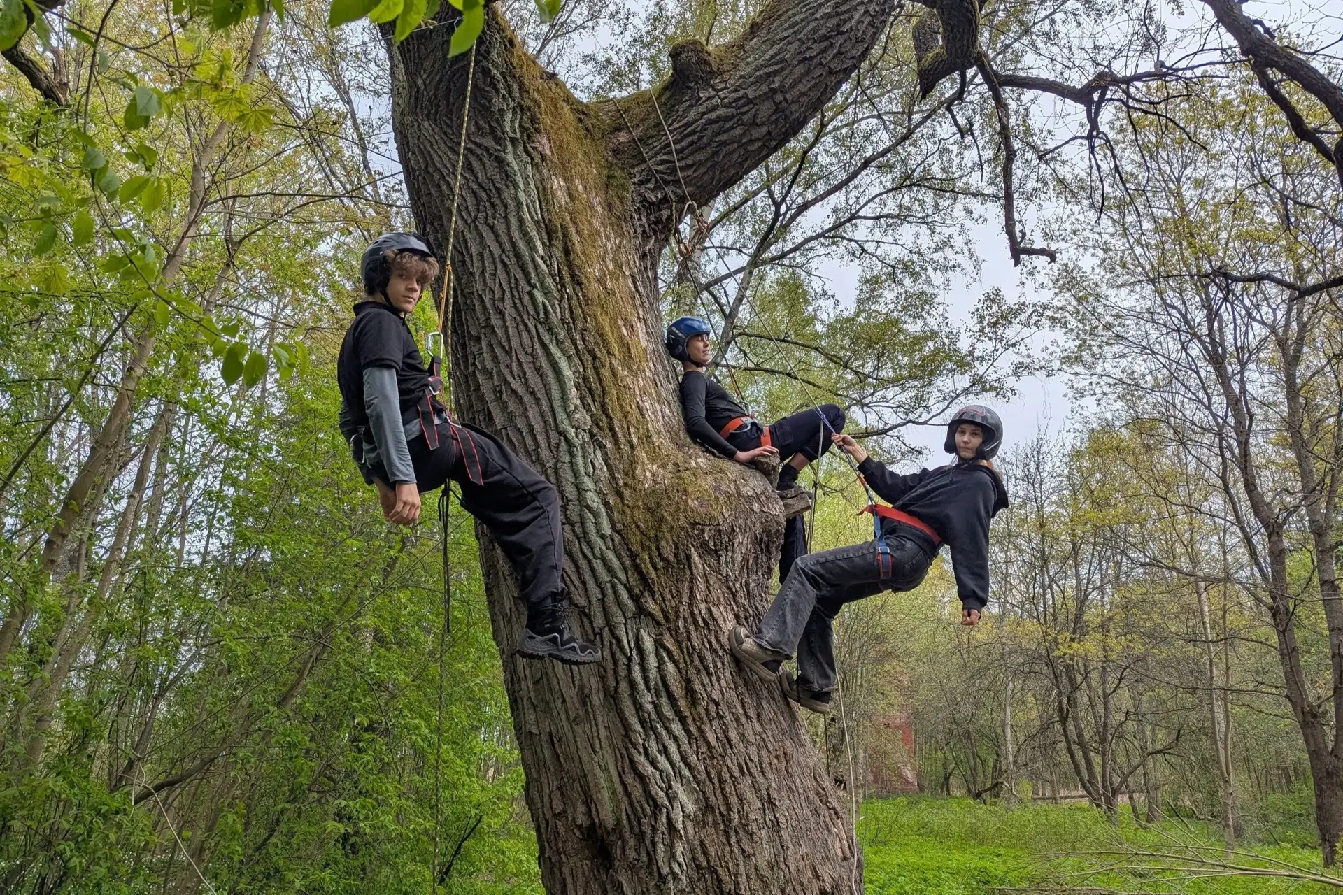 Тренировка парапланеристов 🌳