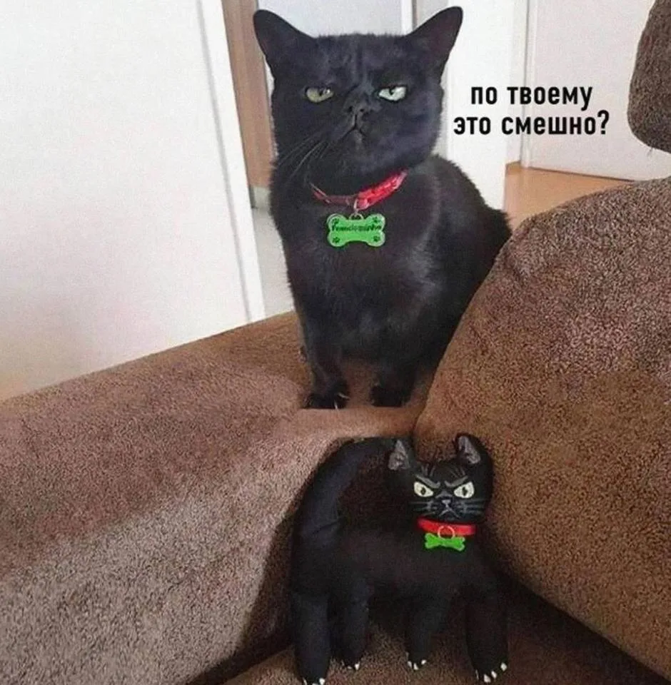 Тебе смешно или что?