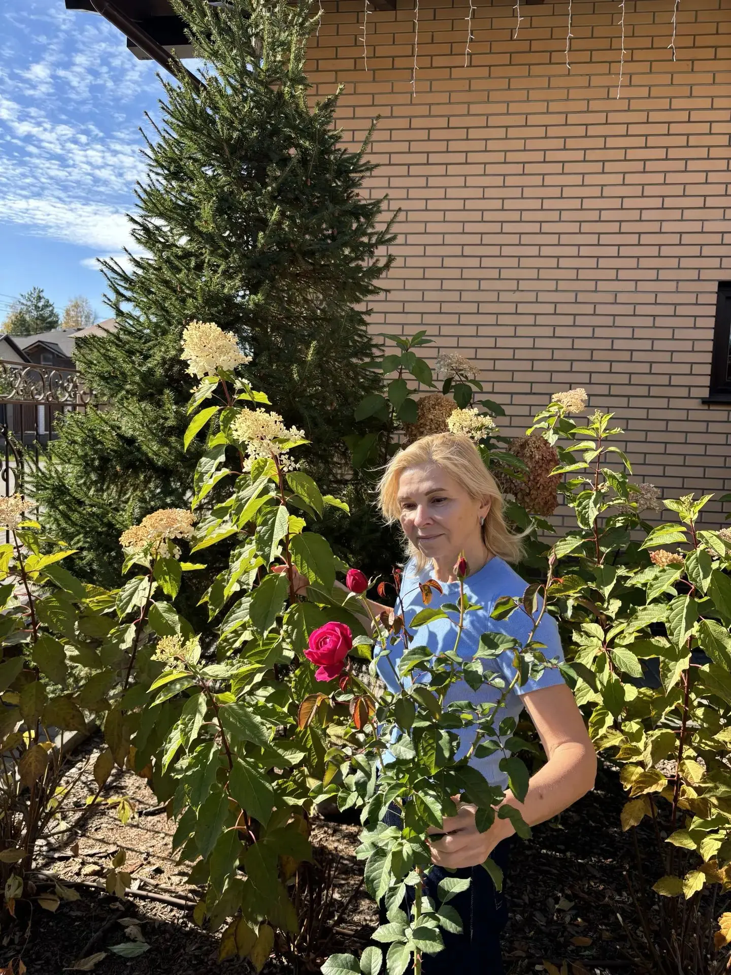 🌳 «Учителя вне школы»: когда за цветами — не к флористу, а к директору! 🌸