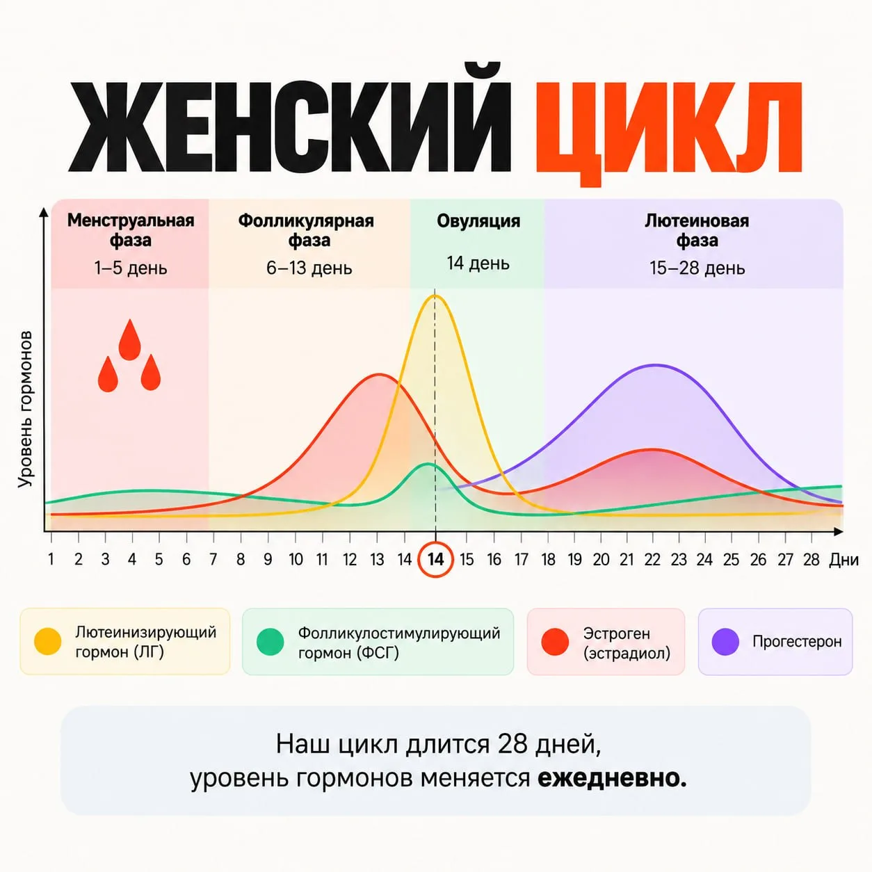 ❌МЫ ЖИВЁМ В МИРЕ, КОТОРЫЙ НЕ ПОДХОДИТ ЖЕНЩИНАМ