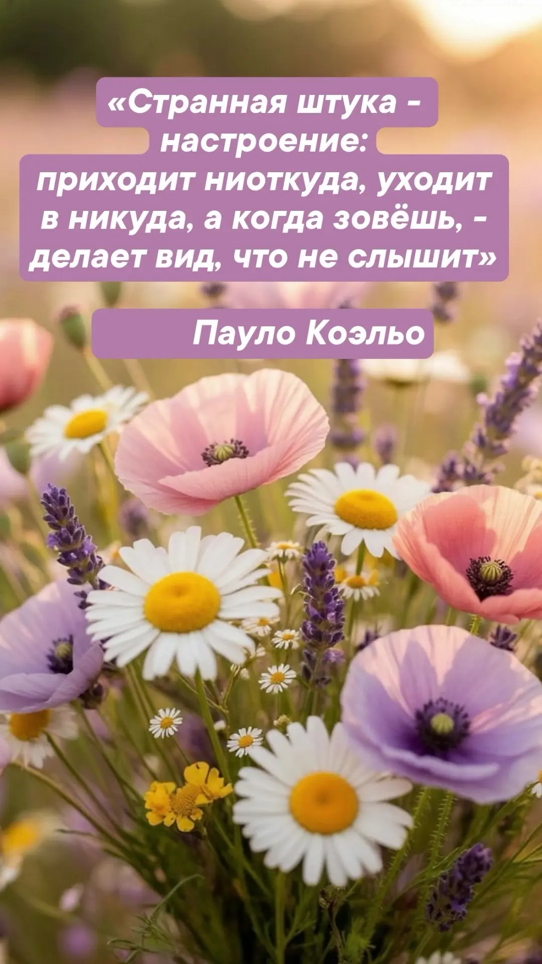 Доброе утро новой недели!

   Чудесного всем настроения и тёплого летнего солнышка! 😊