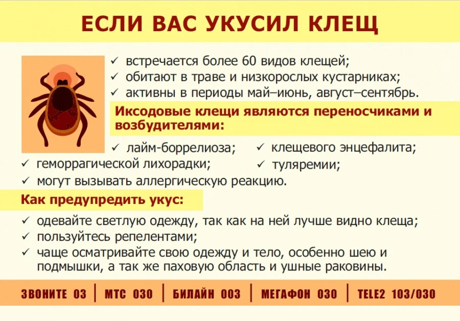🌿 Друзья, проводим лето безопасно!

В летний период многие из нас выезжают на природу. Но важно пом