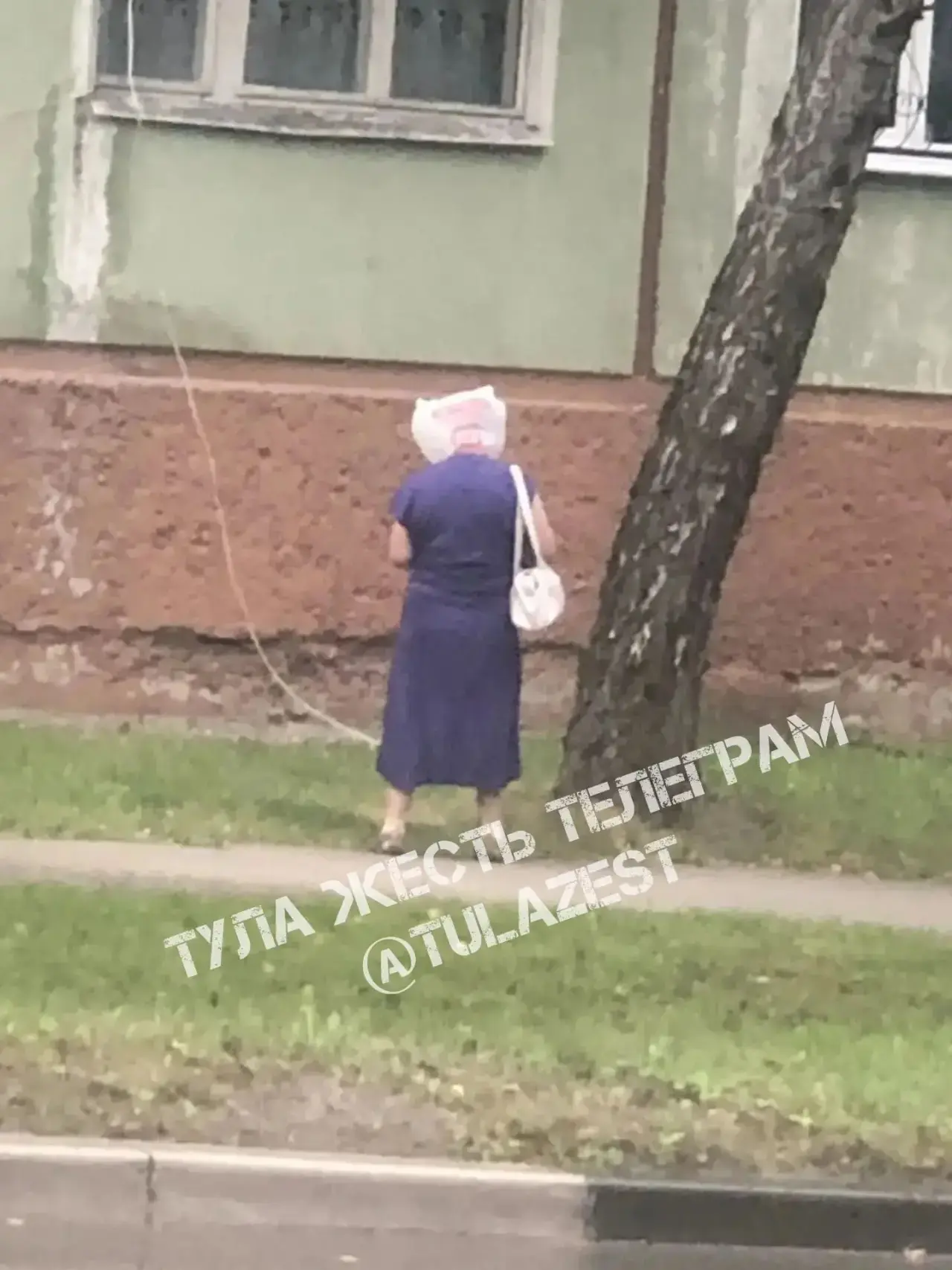 От подписчика