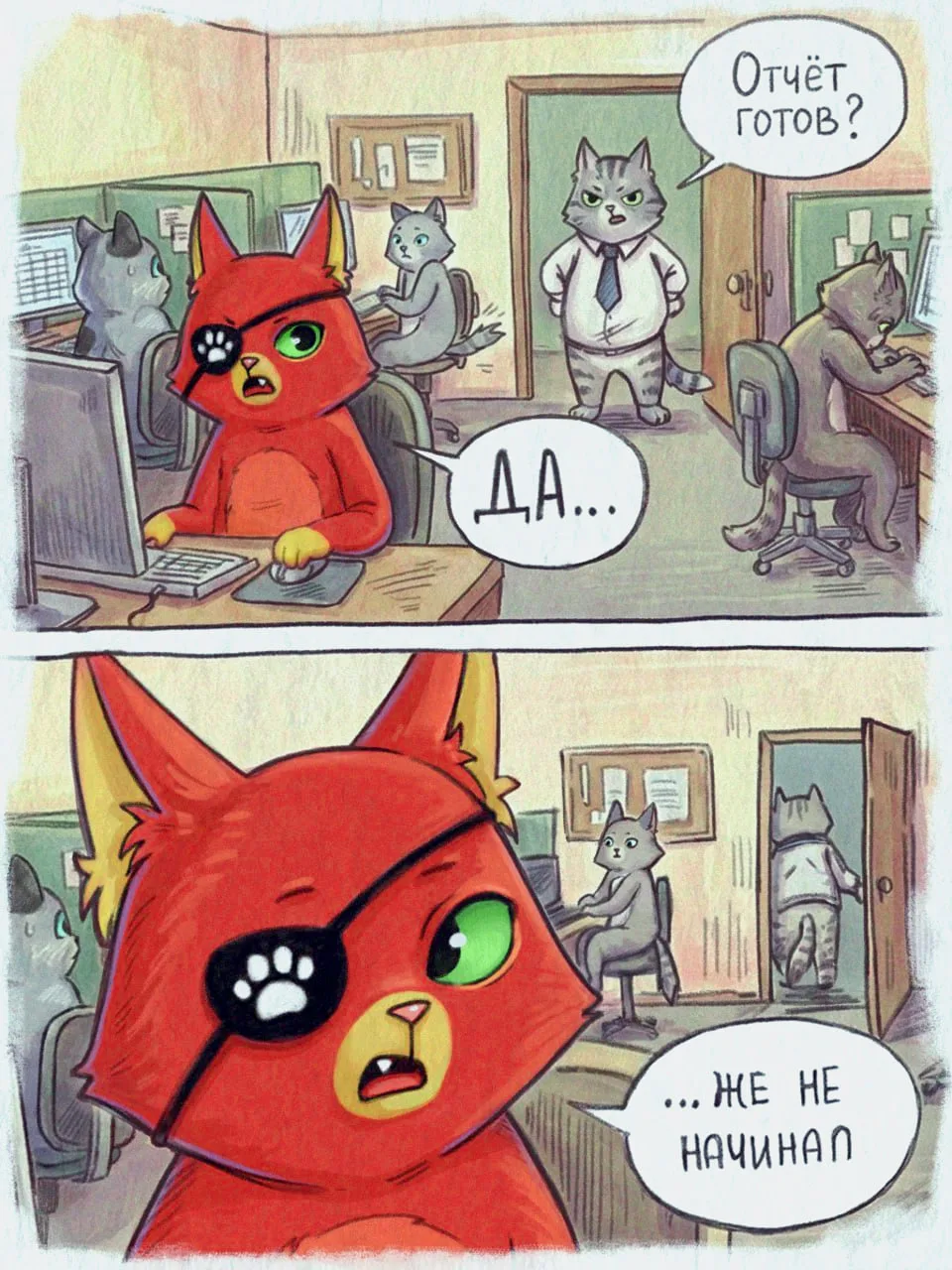 кот отчёта