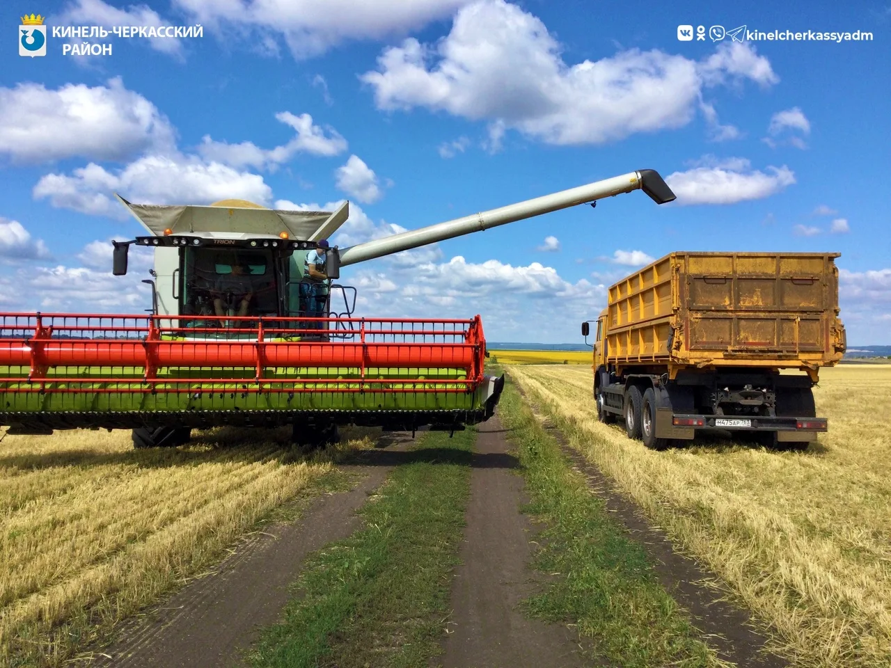 🌾Аграрии Самарской области намолотили свыше 2 млн тонн зерна, убрав 61% зернового клина