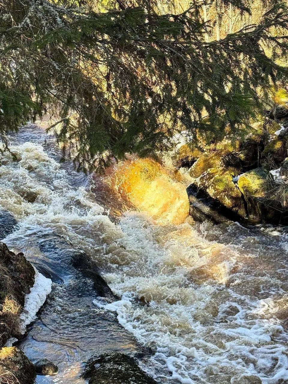 Экопарк «Водопад Метсямикли» 💧

Проведем выходные в Карелии. Это удивительное место точно оценит ка