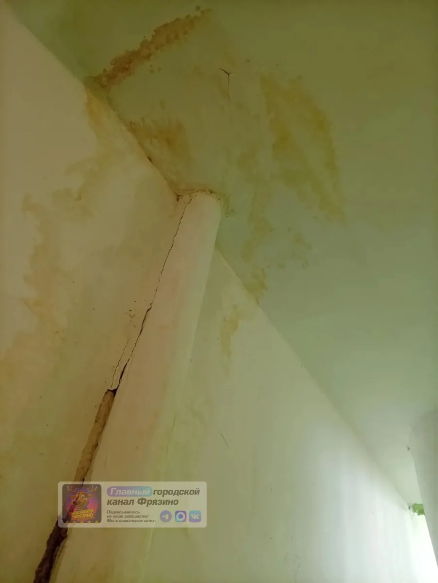 📍 Плачевное состояние подъезда в доме на ул. Полевой

Обращение от подписчика:

«Полевая д. 15,