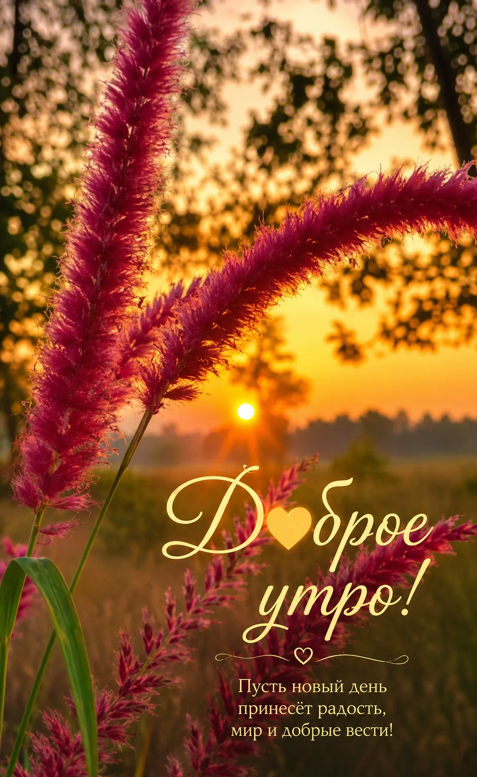 Доброе утро! ☀️

Пусть этот день начнётся с добрых мыслей, искренней молитвы и благодарности Богу за