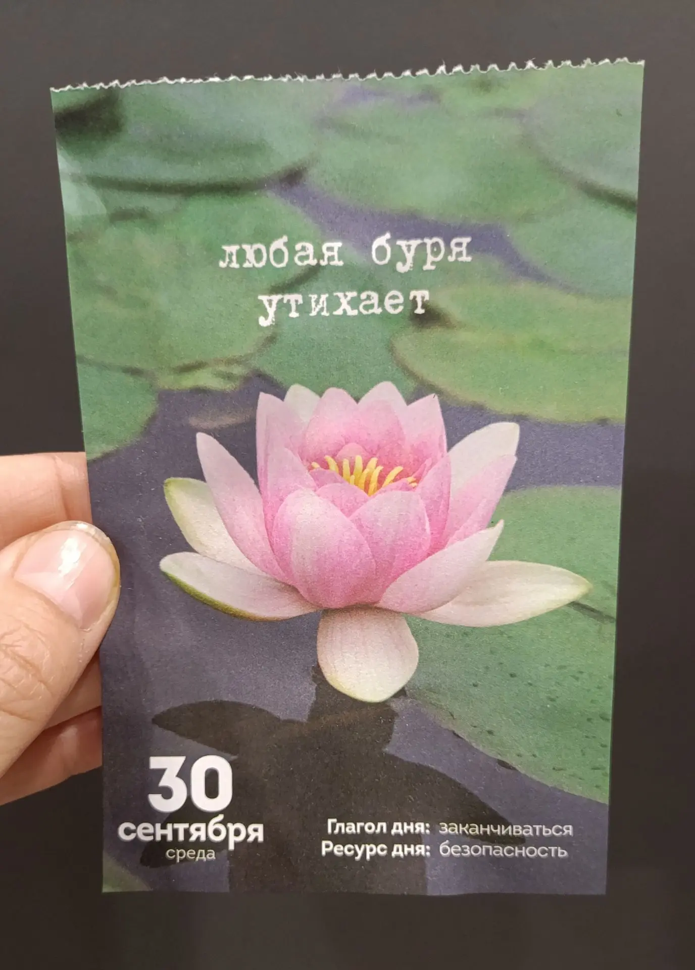 С последним днём сентября! Пусть вместе с ним утихнут бури ♥️