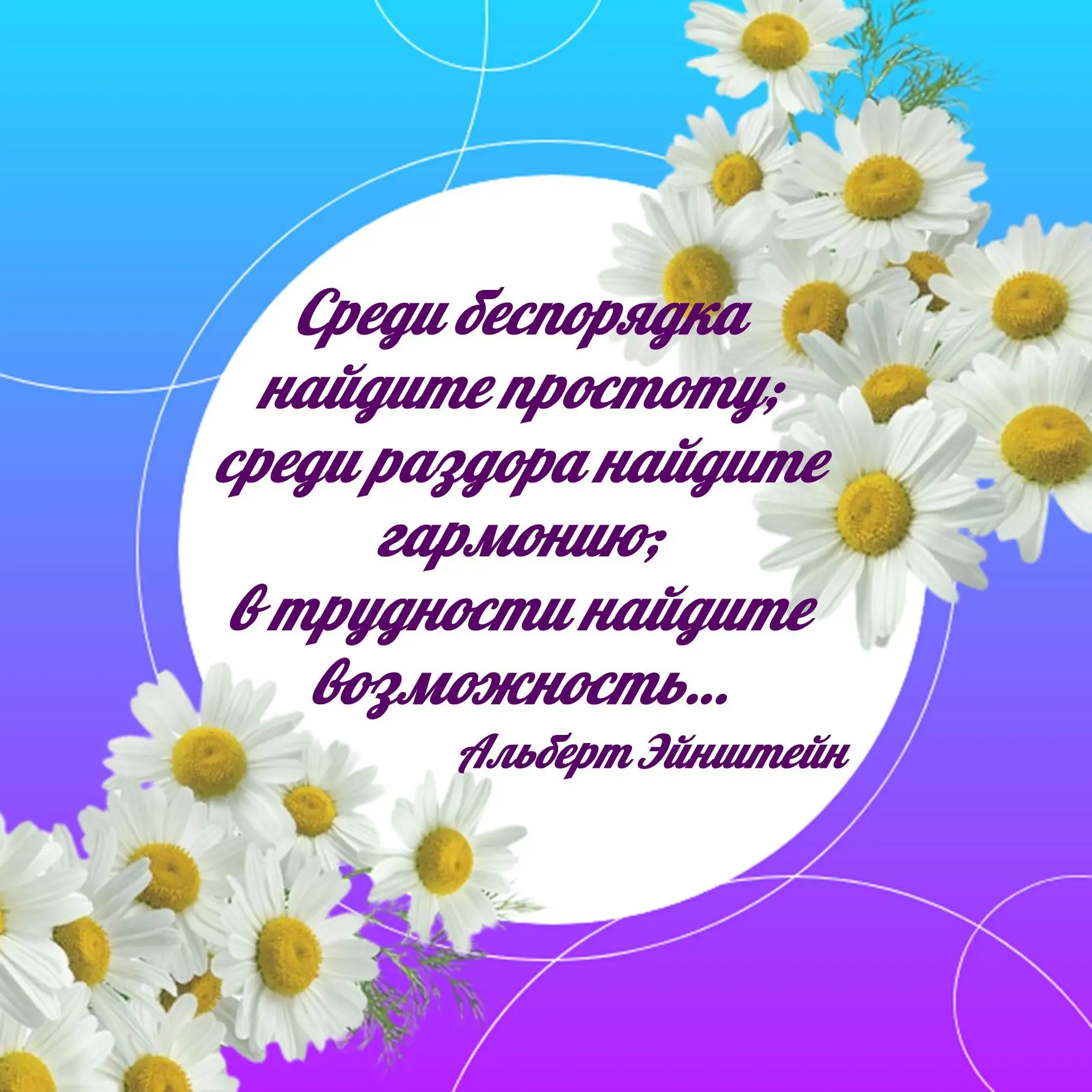 Всем удачной рабочей недели!
#цитатадня_novod-biblioteka