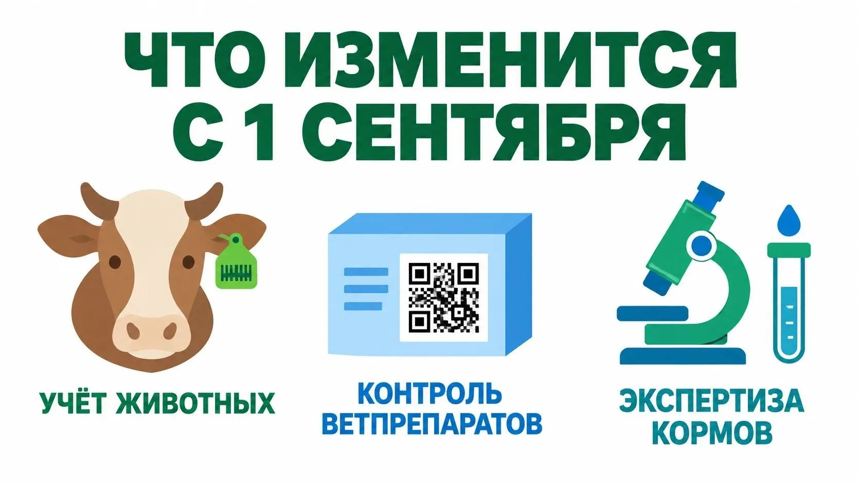 📢Что изменится в законодательстве с 1 сентября: от учета до экспертизы