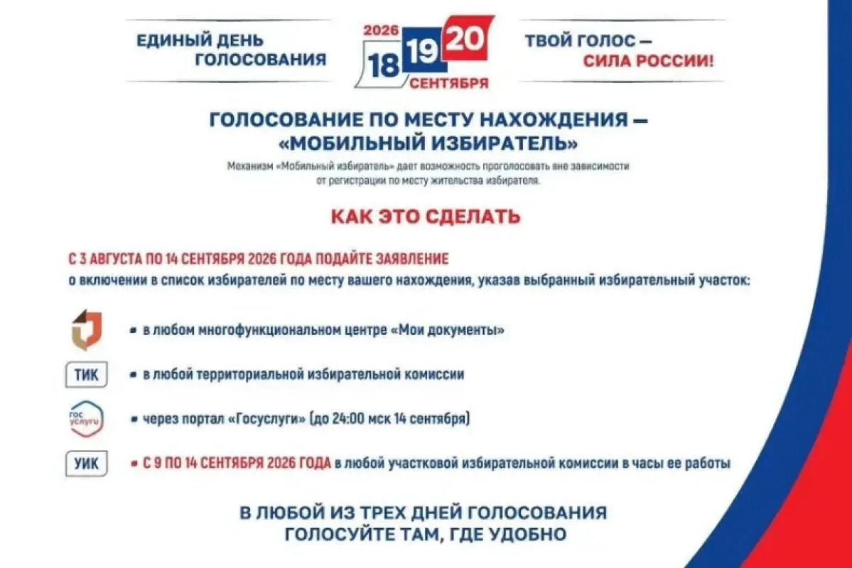 🗳️ Как проголосовать не по месту прописки?