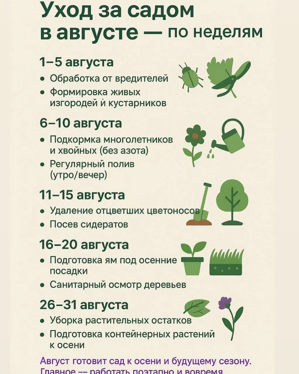 Обязательный уход за садом в августе 🏡