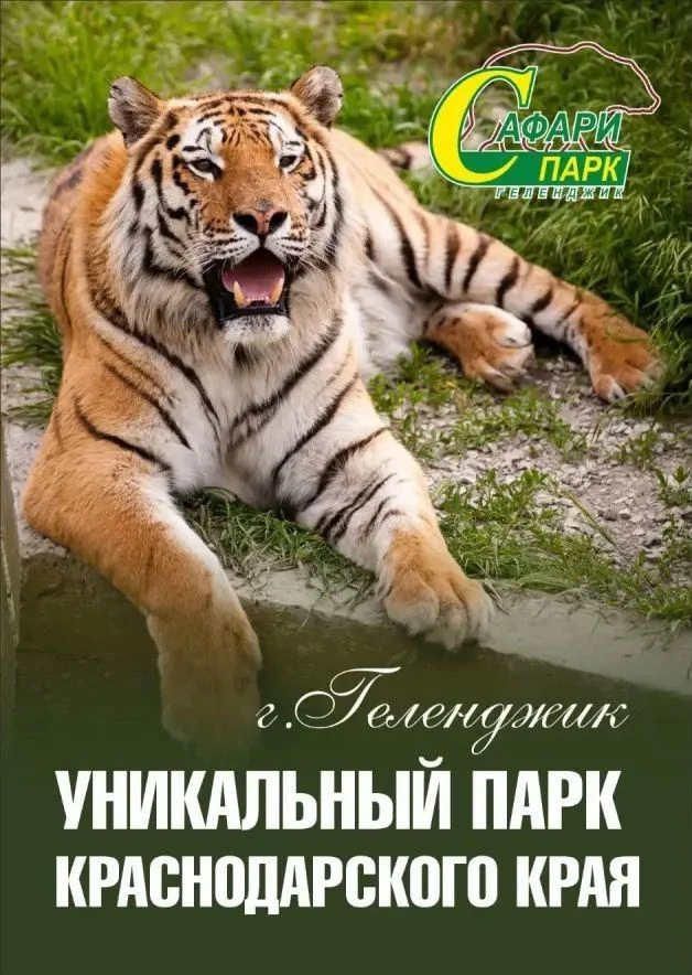 Дорогие друзья, лето – идеальное время для ярких прогулок всей семьей!