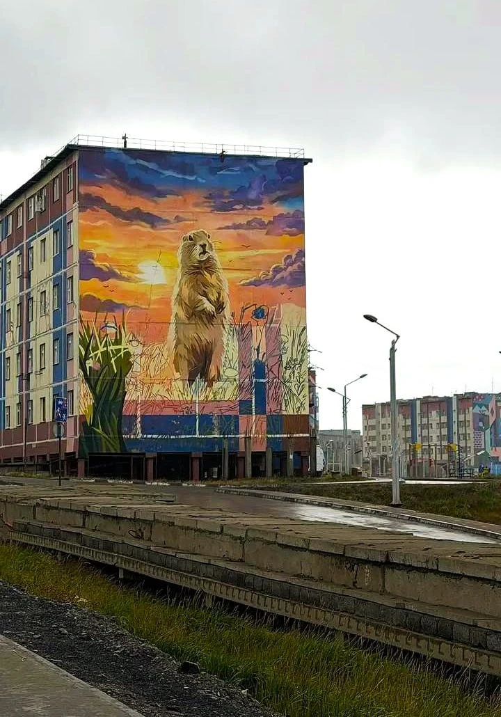 В Певеке поселилась самая большая евражка в мире