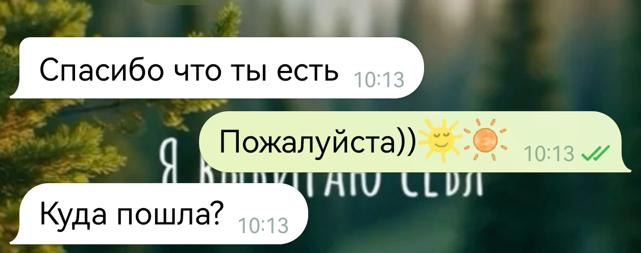 Местные сталкеры)) не спрятаться мне нигде😏😈