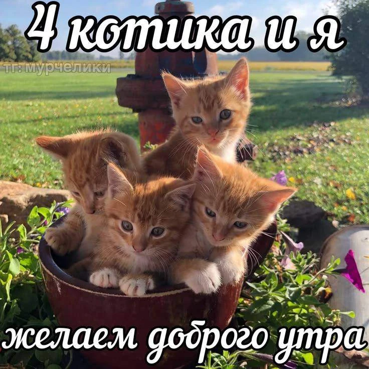 Изображение 1 к публикации «Оренбург 24/7 | Орск»