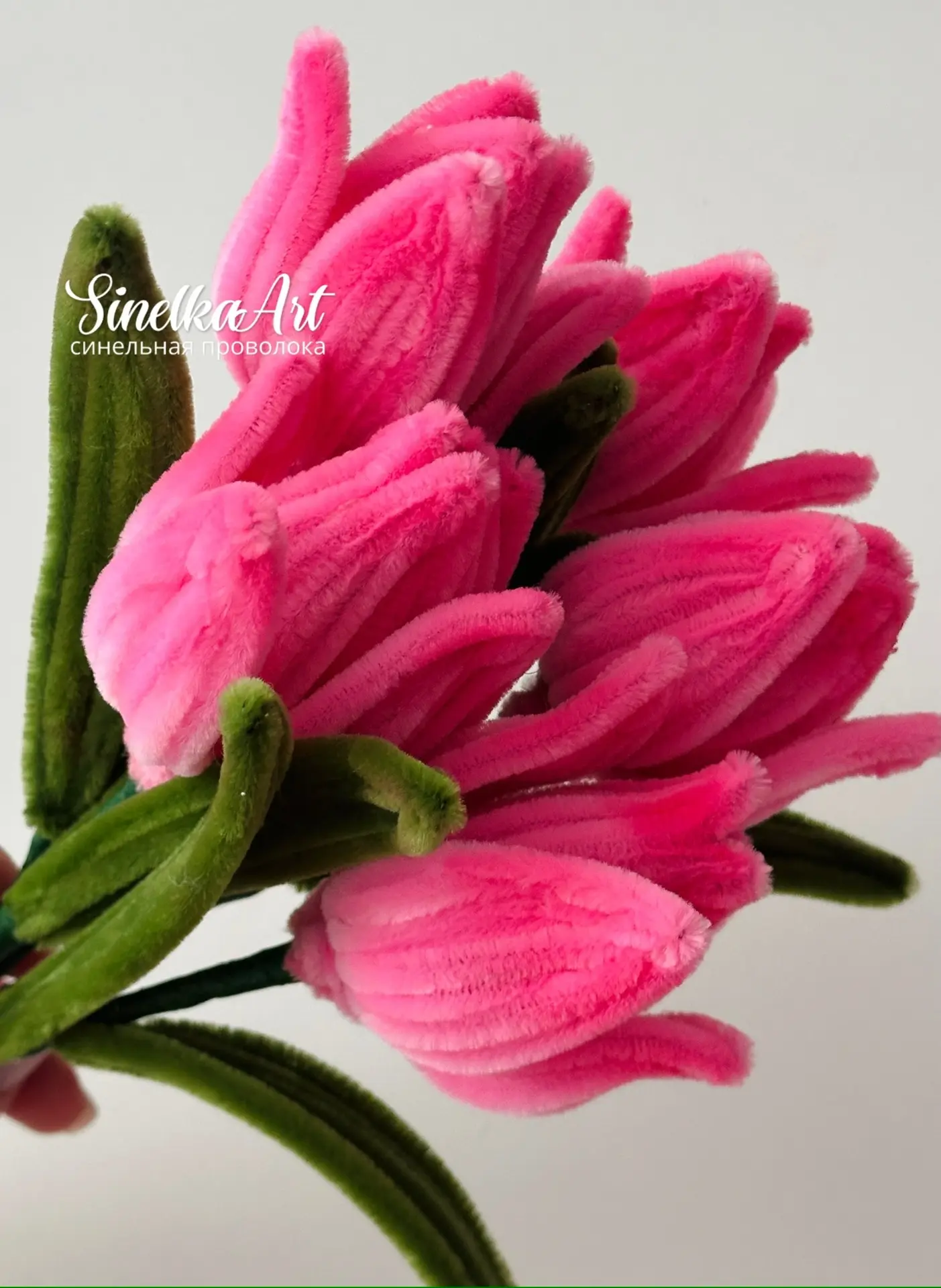 Девочки, с 8 марта! 🌷  Пусть в вашей жизни всегда будет место красоте, вдохновению и маленьким радос