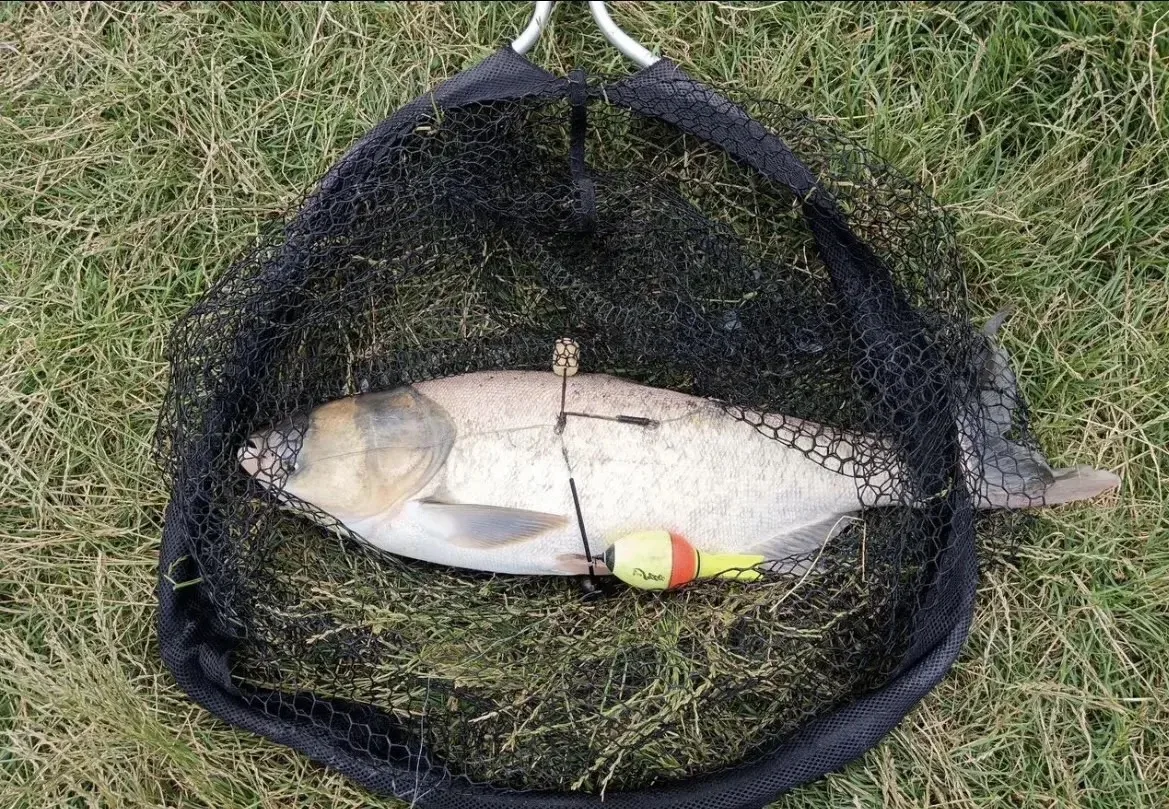Нововеличковская🐠 река Понура 🔥 там бесплатные шикарные места 👍🐠 всем НХНЧ 🔥 

НАШ ЧАТ 💬

Прис