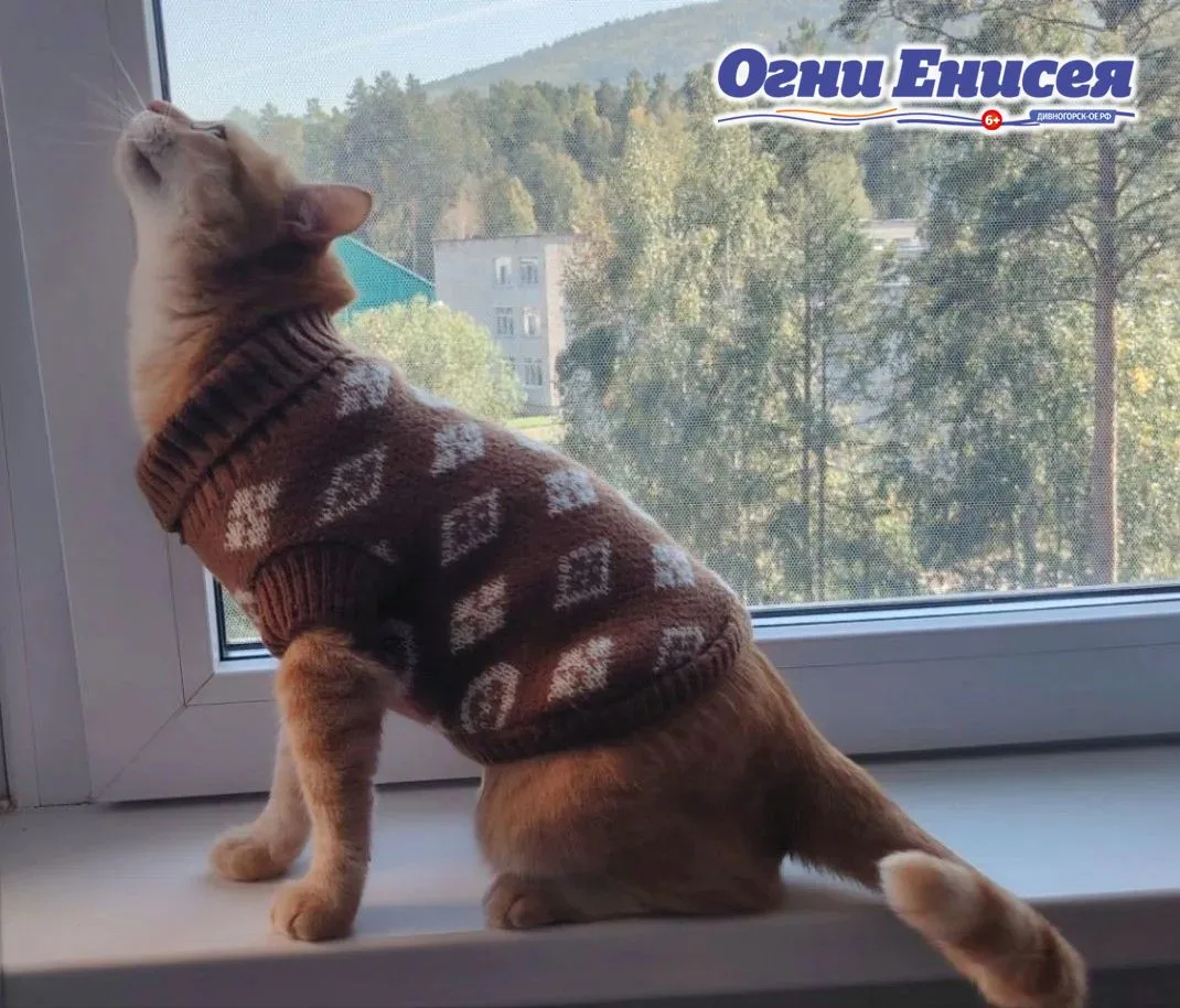 #новостьДня ❗️ ОТОПИТЕЛЬНЫЙ СЕЗОН НАЧНЁТСЯ С 17 СЕНТЯБРЯ!