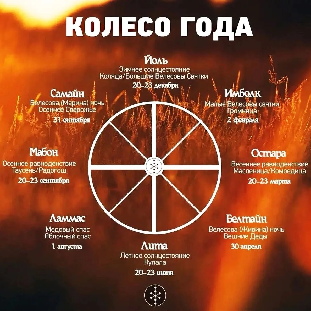 Вершки да корешки