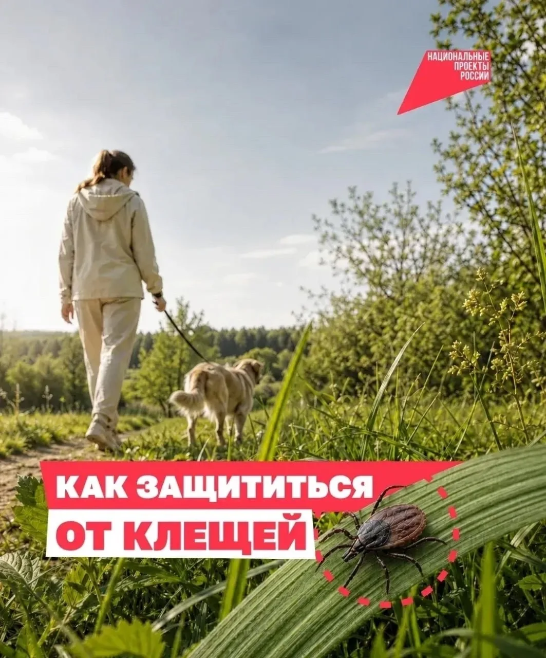 Максимовка | Новая Максимовка | Уфа🏡

❗️ОСТОРОЖНО, КЛЕЩИ!

Опасность клещевого вирусного энцефалита