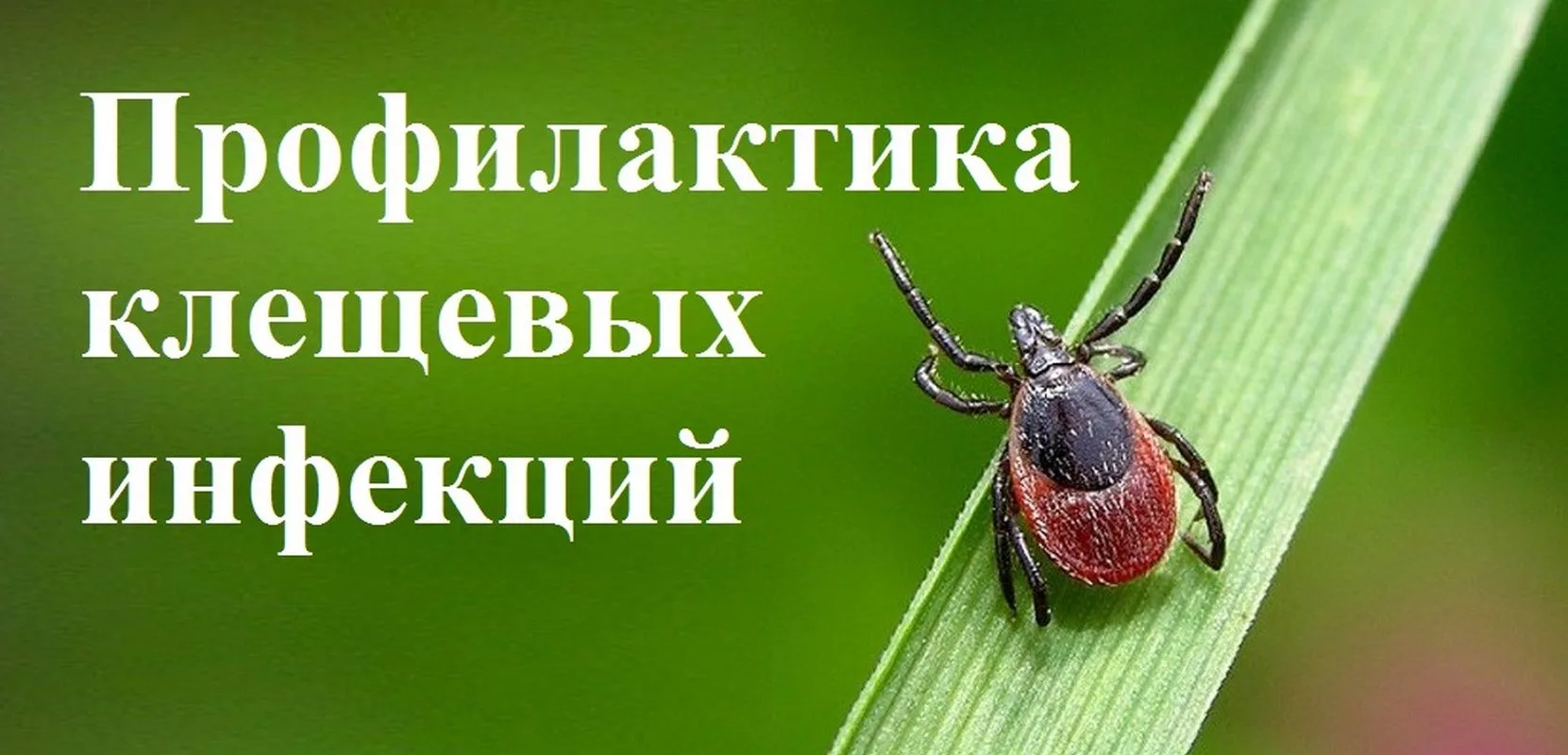 Межрегиональное управление №71 ФМБА России информирует, что на 04.09.2026г.