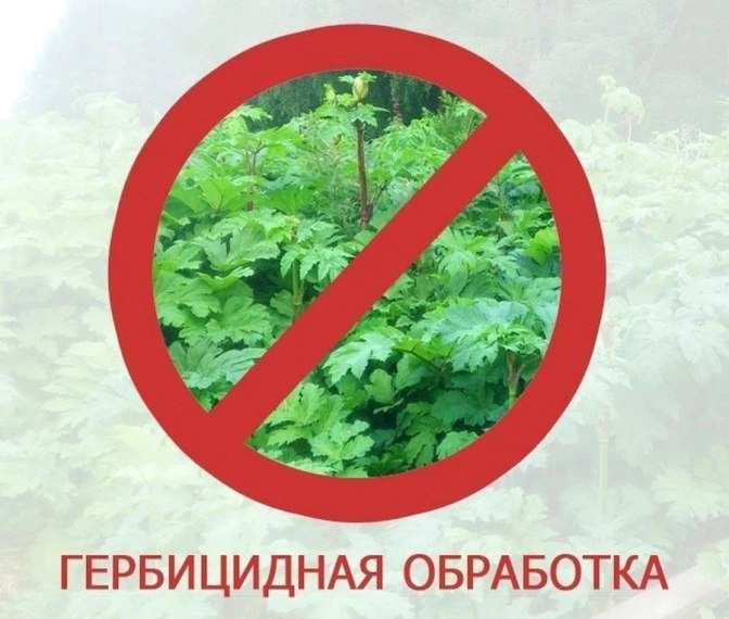 ВНИМАНИЮ ГРАЖДАН!