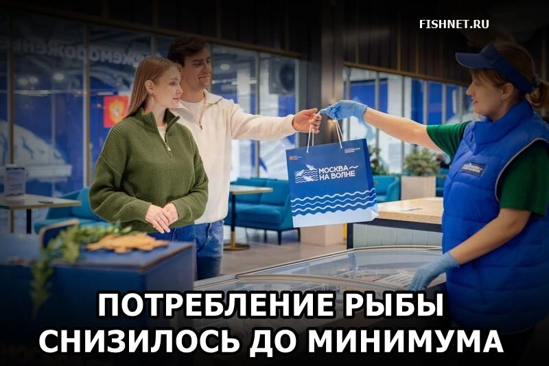 🐟 Потребление рыбы в России снизилось до минимума за 3 года