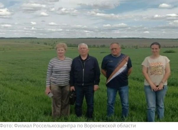 🌾 Органический овес и тыкву проверили в хозяйстве воронежского фермера.
