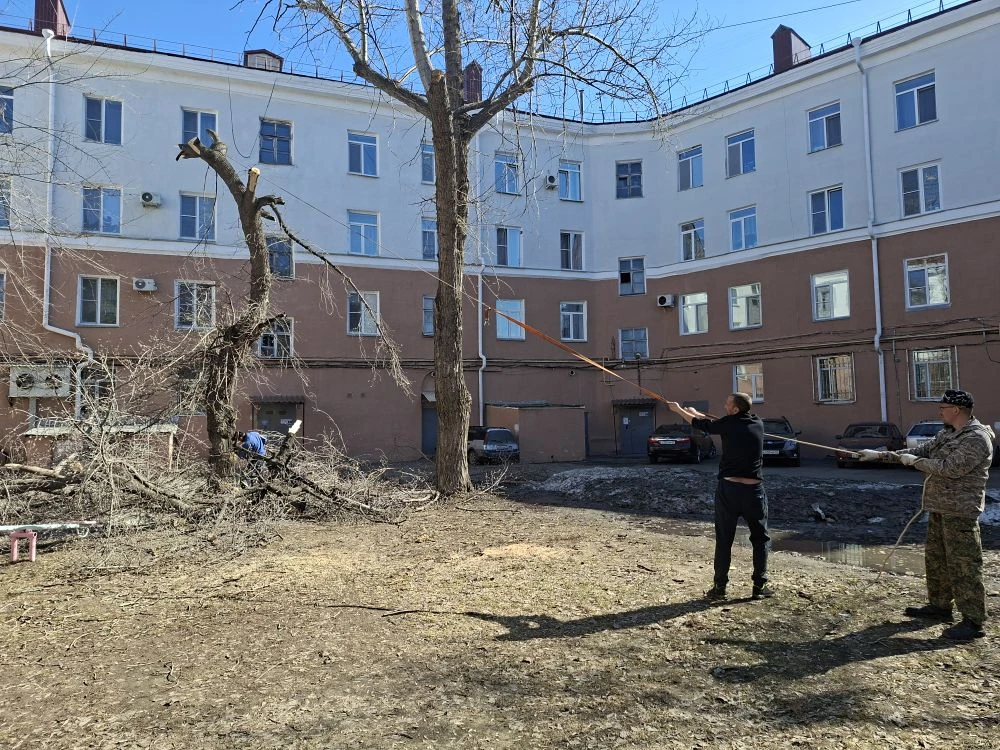 Продолжаем приводить наши дворы в порядок. Произвели обрезку и снос аварийных деревьев ...
