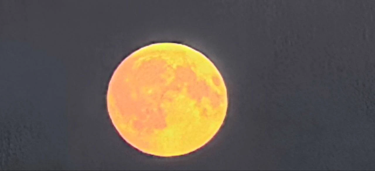 🌕Редкое «Осетровое» полнолуние взошло над Подмосковьем