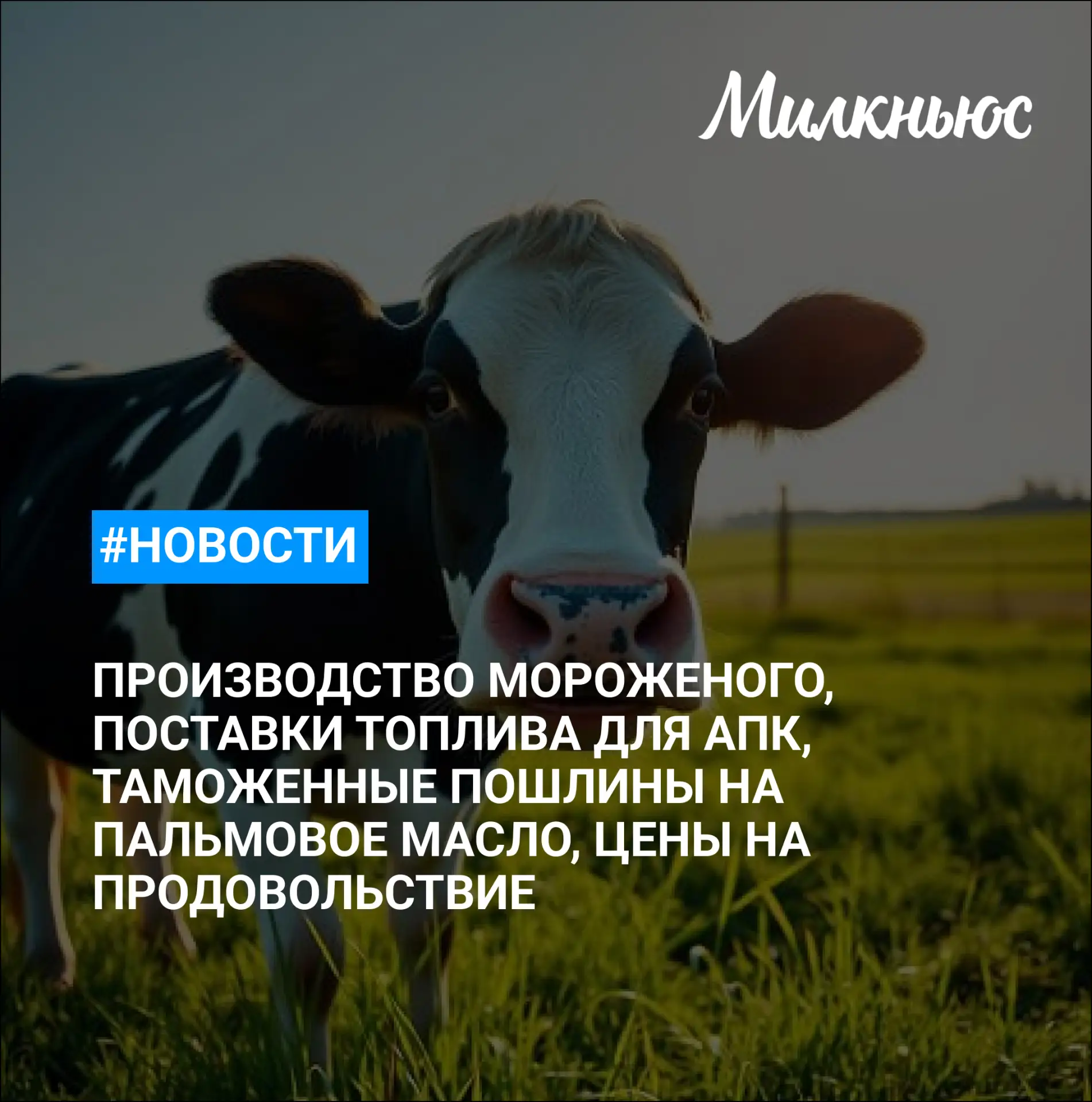 🐮 «Ведомости»: в России за четыре месяца произвели 165,6 тыс. т мороженого

🐮 В ГД призвали ограни