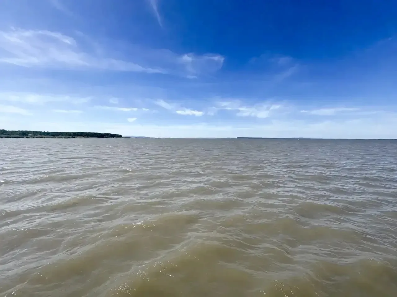✅Уровень воды в Амуре поднимается: что происходит