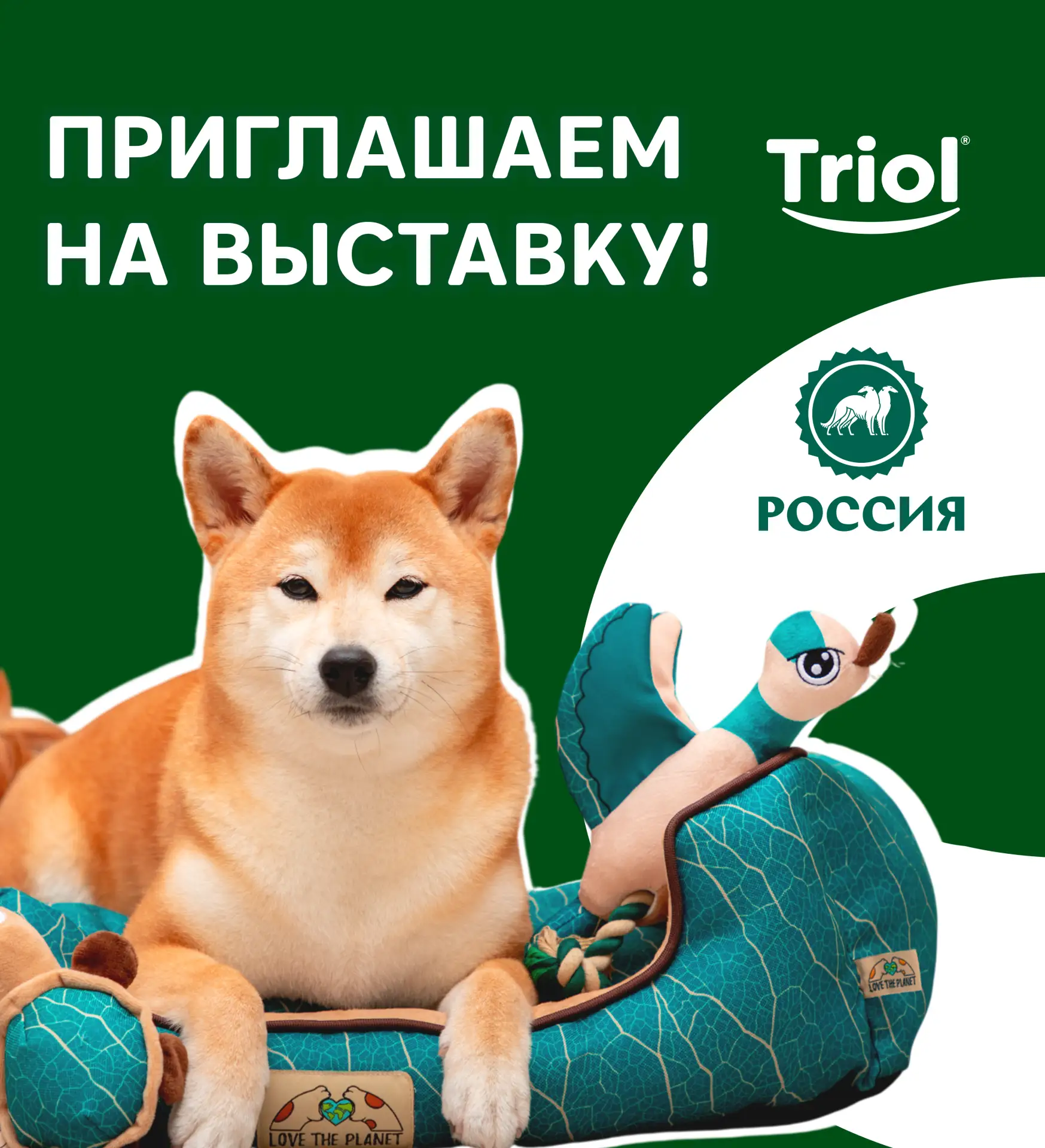 🟢К «Кубку РКФ 2026» готовы!
 
20 и 21 июня в КВЦ «Патриот» состоится главное кинологическое событие