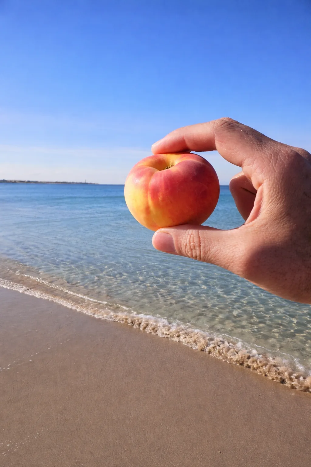 Любите персики и всё сочное? Тогда июль - ваш месяц 🍑  Июль в Крыму - это когда выходишь за фруктами